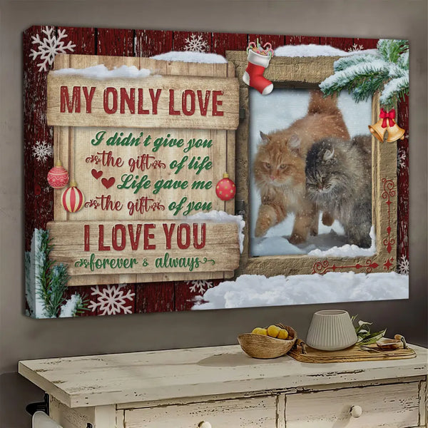 Personalized Photo Canvas Prints, Custom Photo, Christmas theme, Cats by the window, I love you forever and always Dem Canvas