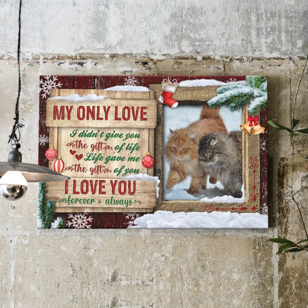 Personalized Photo Canvas Prints, Custom Photo, Christmas theme, Cats by the window, I love you forever and always Dem Canvas