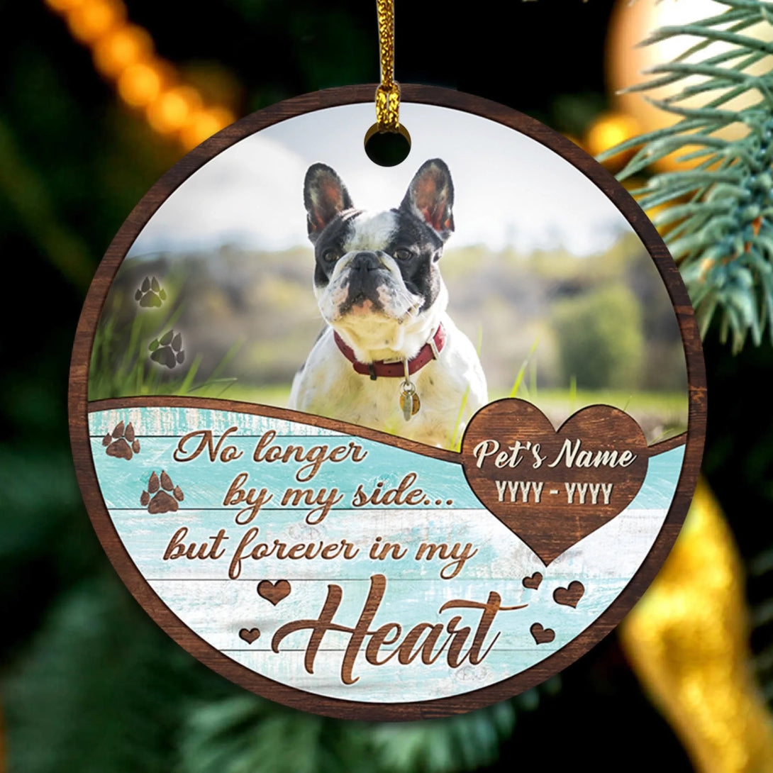 BN35-0725ORN141 mk 2 (7)