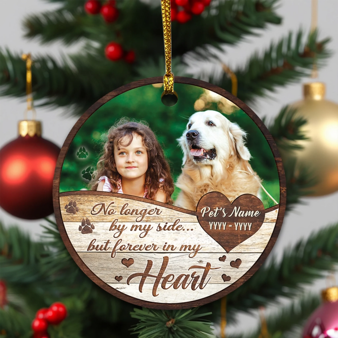 BN35-0725ORN141 mk 1 (6)