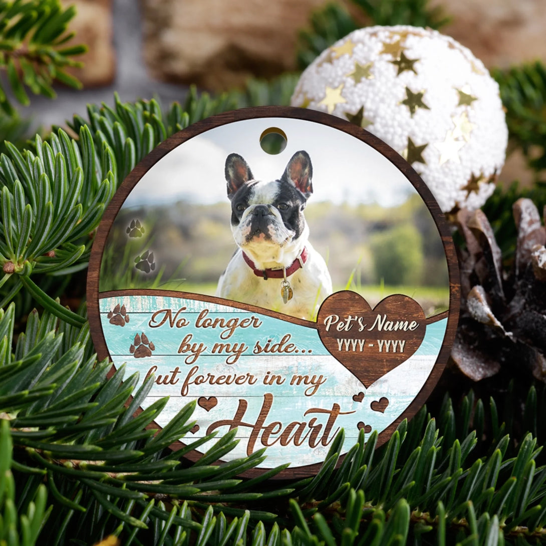 BN35-0725ORN141 mk 2 (5)