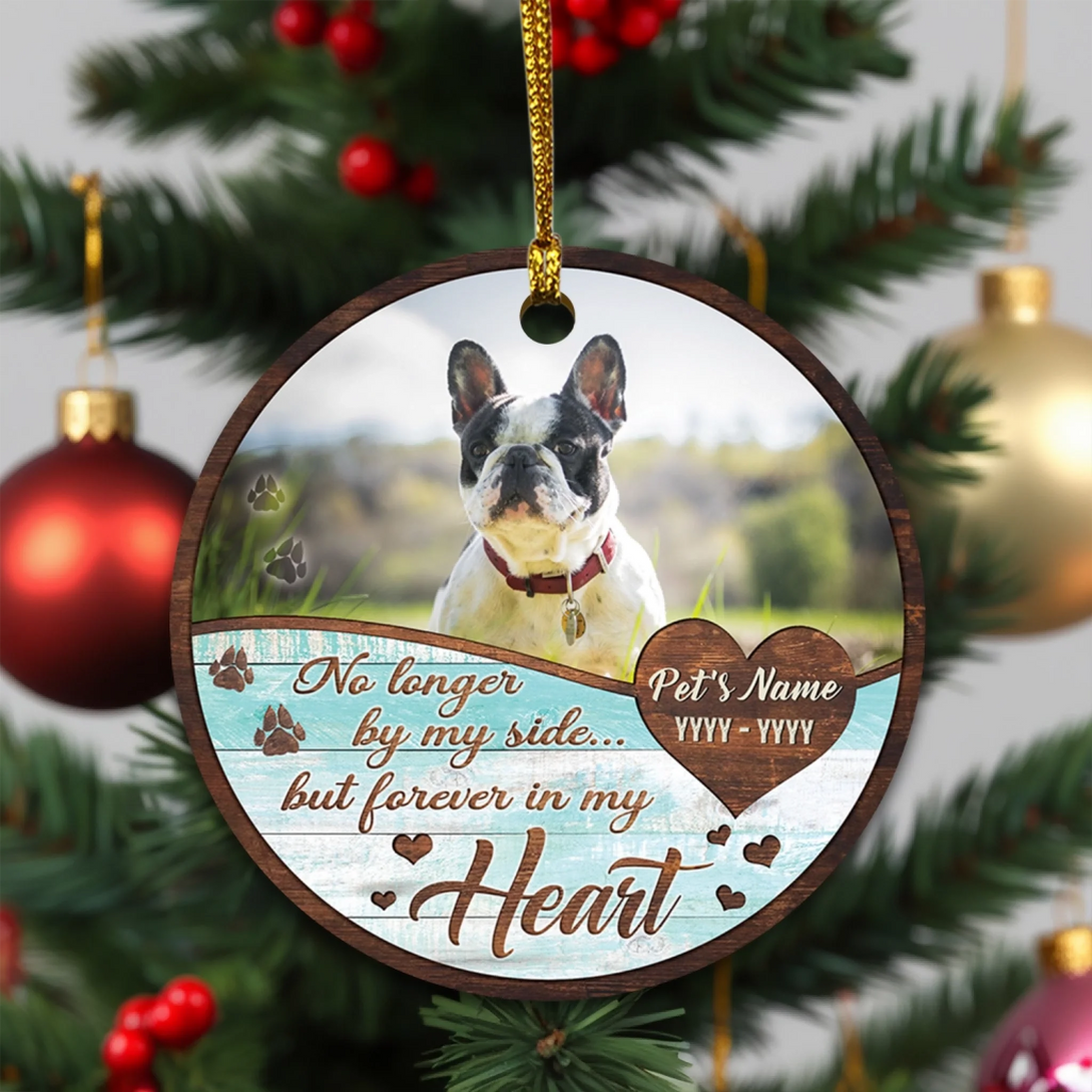 BN35-0725ORN141 mk 2 (6)