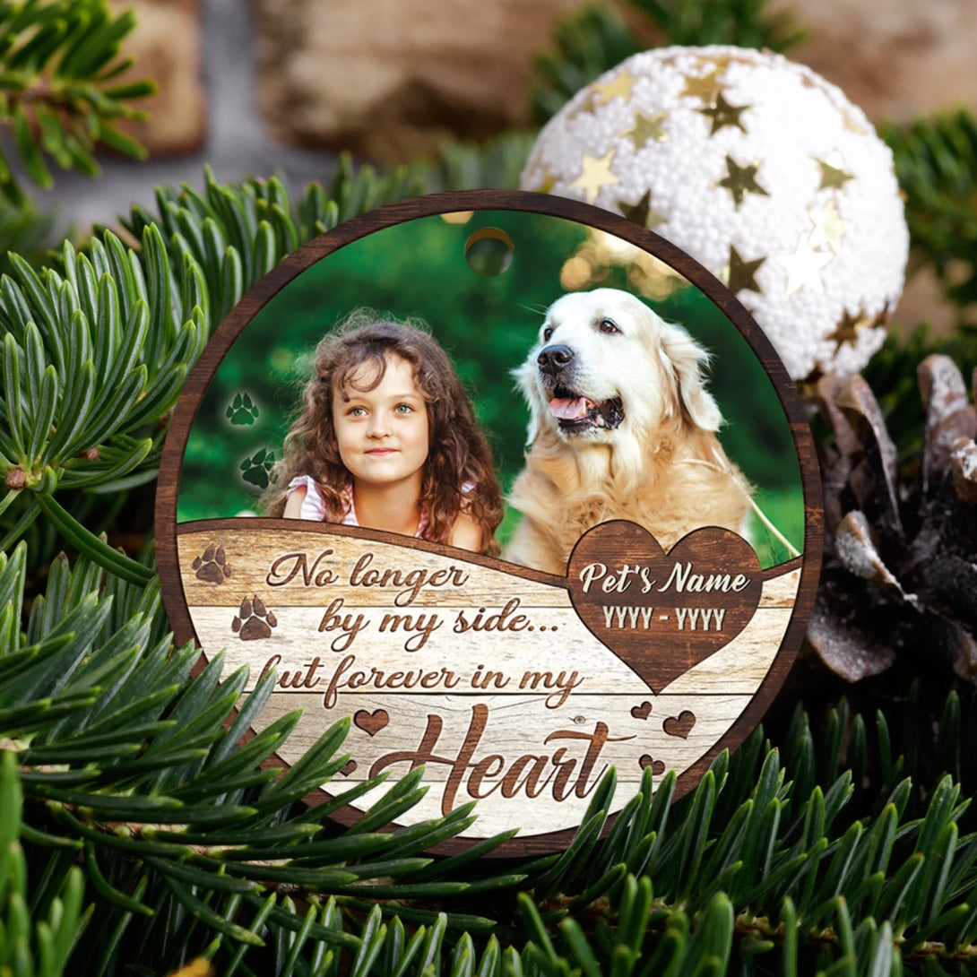 BN35-0725ORN141 mk 1 (5)